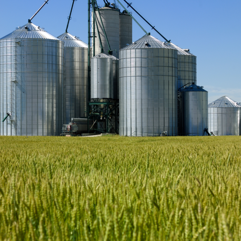 Agroalimentaire